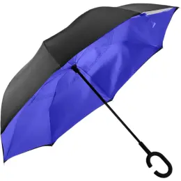 Goodluck Umbrella Blue Open